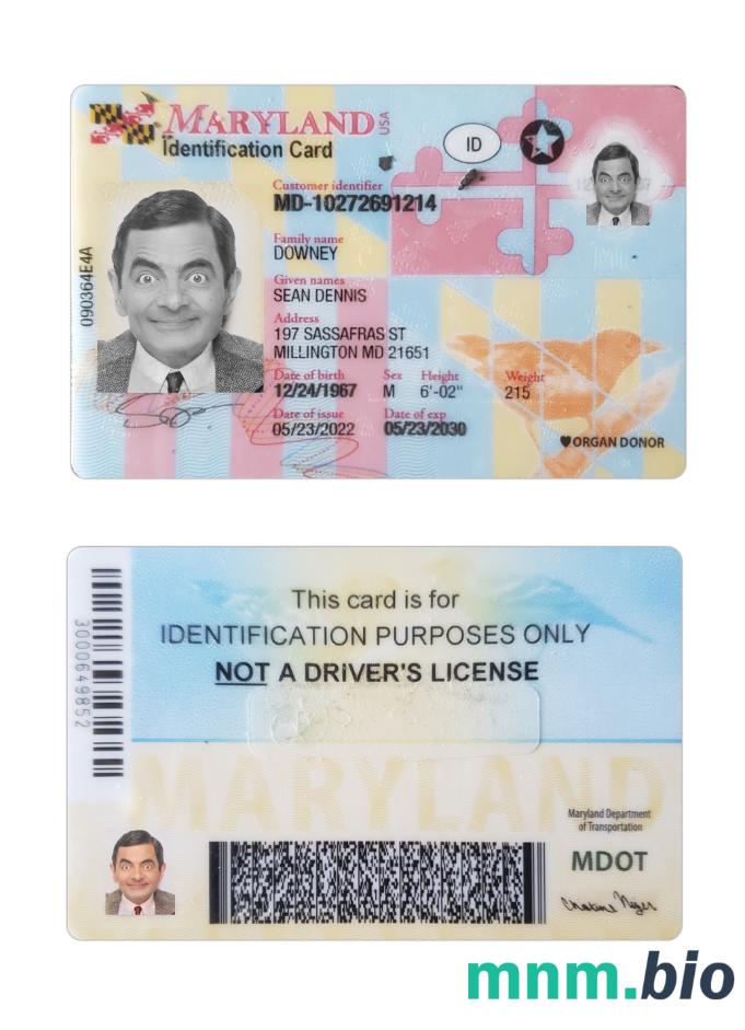 Przykład karty identyfikacyjnej stanu Maryland (USA) w formacie PSD, w pełni edytowalny